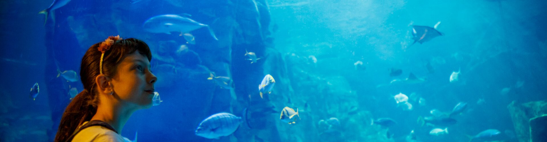 Ausflugsziel Aquarium Bonifacio