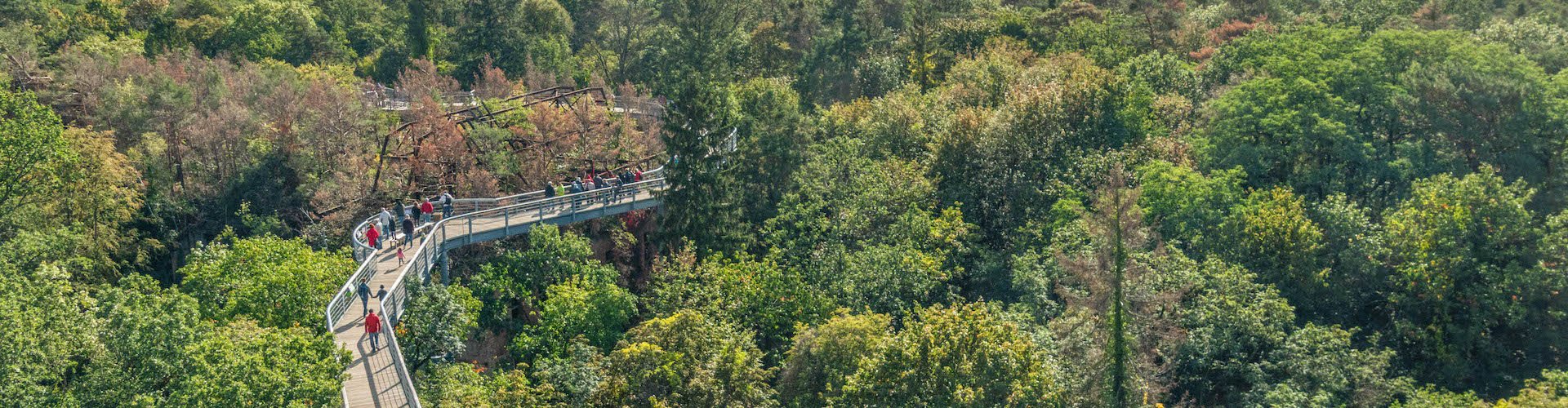 Ausflugsziel Baum & Zeit Baumkronenpfad Beelitz-Heilstätten
