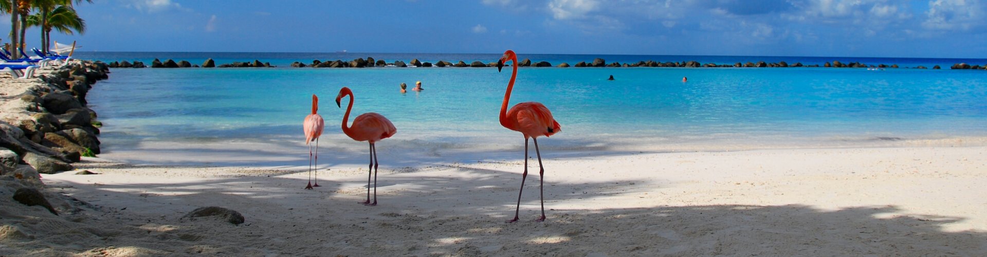 Ausflugsziel Flamingoinsel Djerba