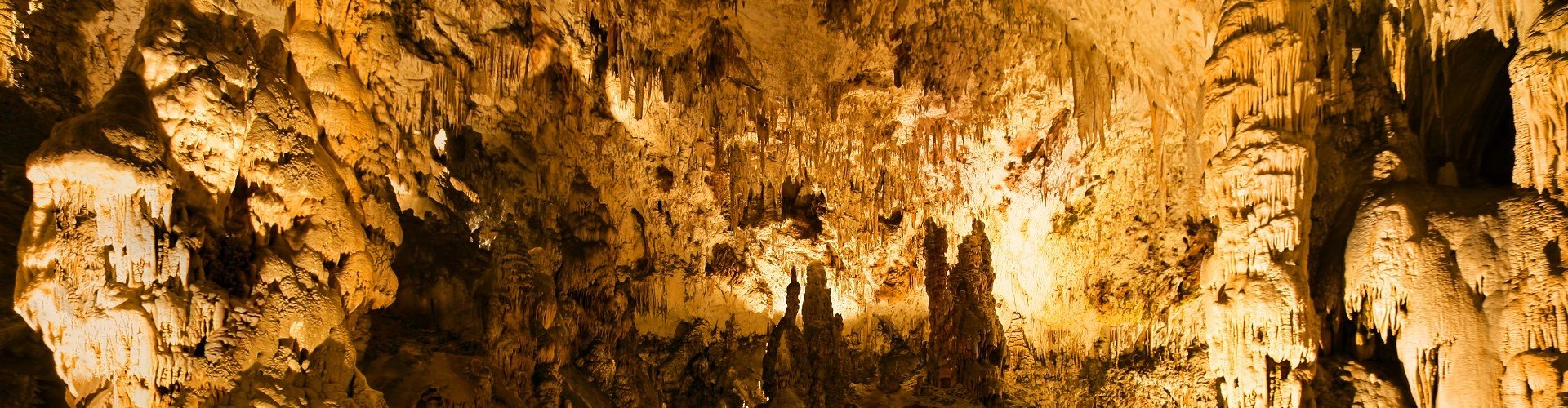 Ausflugsziel Höhlen von Postojna
