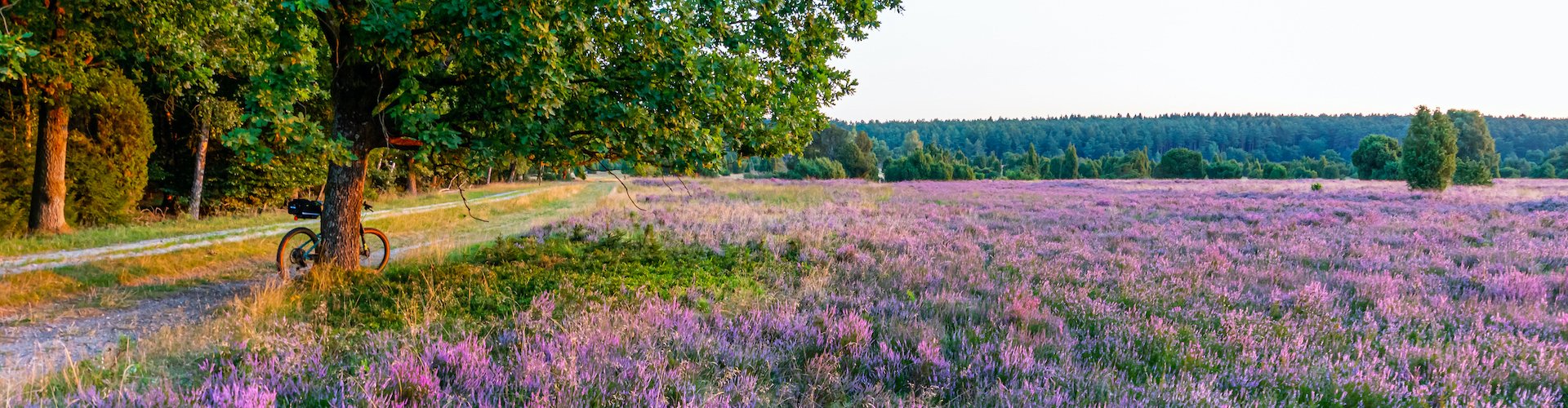 Ausflugsziel Naturpark Lüneburger Heide