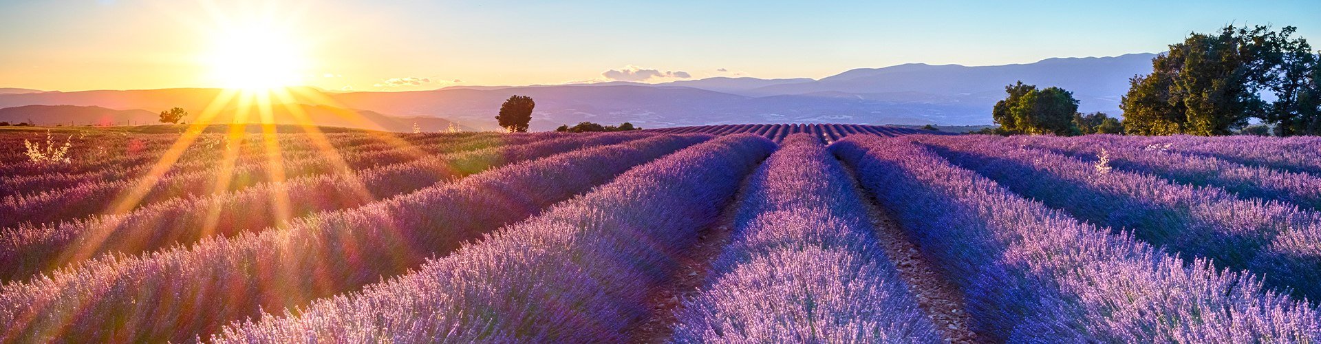 Familienurlaub in der Provence